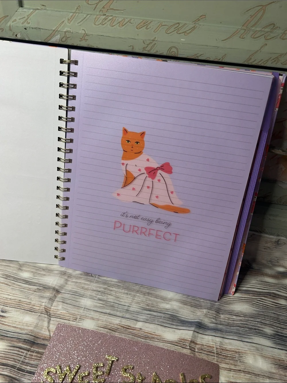 🎀😻 Adorable Kitty Cat Pattern Five-Subject Notebook Pink Purple Big